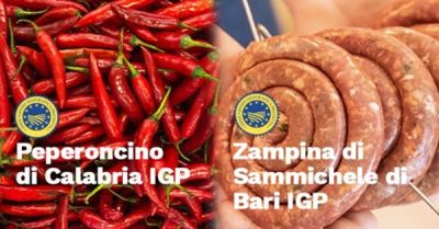 CS-Zampina-Sammichele-e-peperoncino-calabria su magazine qualità